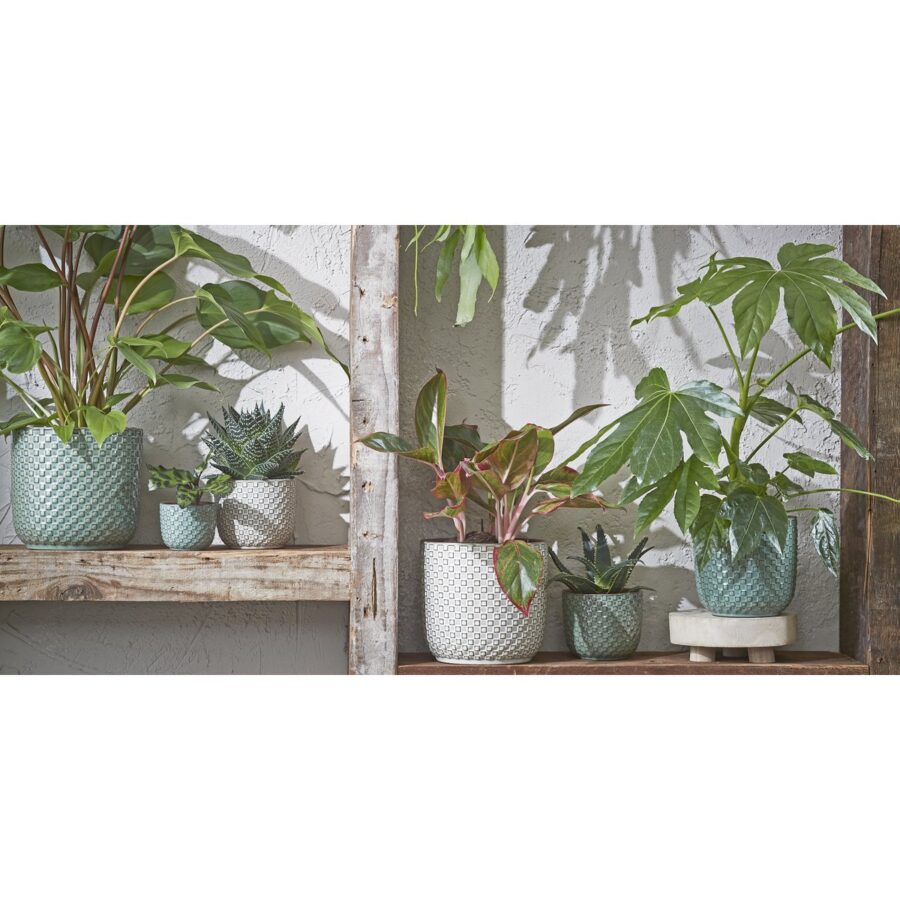 Daan Bloempot - H18 x Ø19 cm - Groen - Afbeelding 6