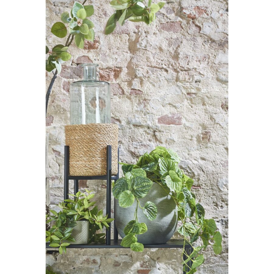 Ascot Plantenstandaard - L21 x B21 x H35 cm - Metaal - Zwart - Afbeelding 7
