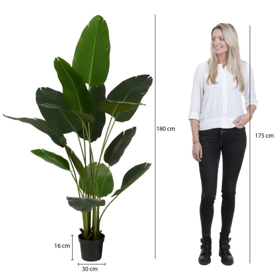 Kunstplant Bananenboom in Pot - H180 x Ø30 cm - Groen - Afbeelding 6