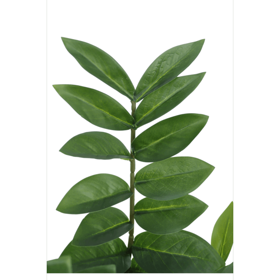Zamioculcas Kunstplant 75cm - Afbeelding 4