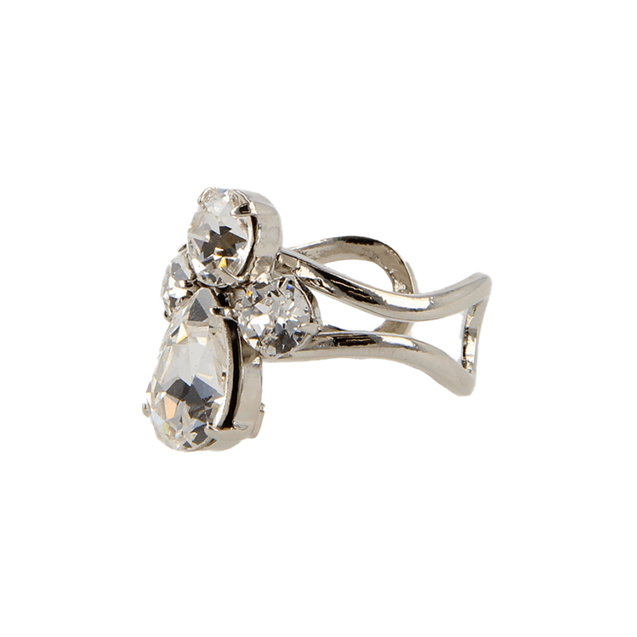Silver Beetle Ring - Small - Afbeelding 3