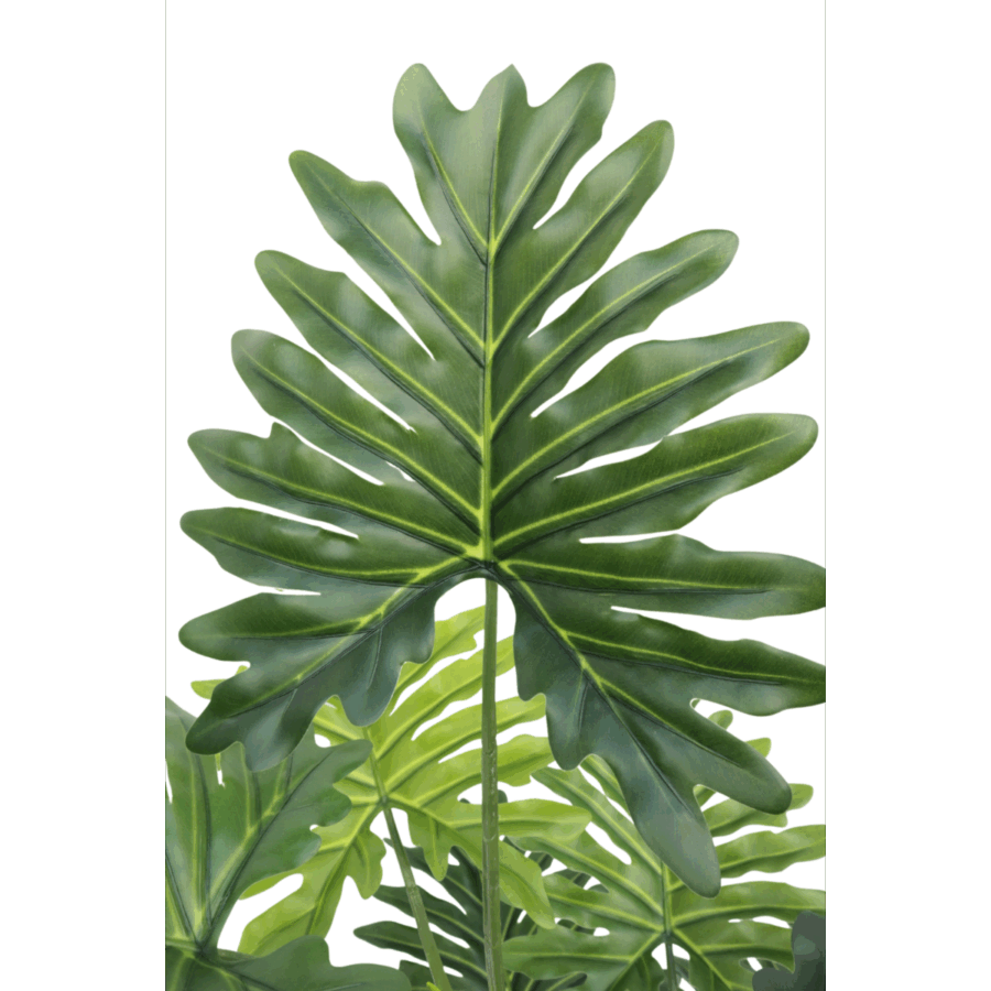 Philodendron Kunstplant 130cm - Afbeelding 4