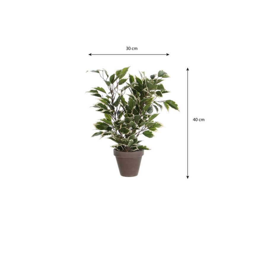 Ficus Natasja Kunstplant in Bloempot Stan - H40 x Ø30 cm - Groen Bont - Afbeelding 5