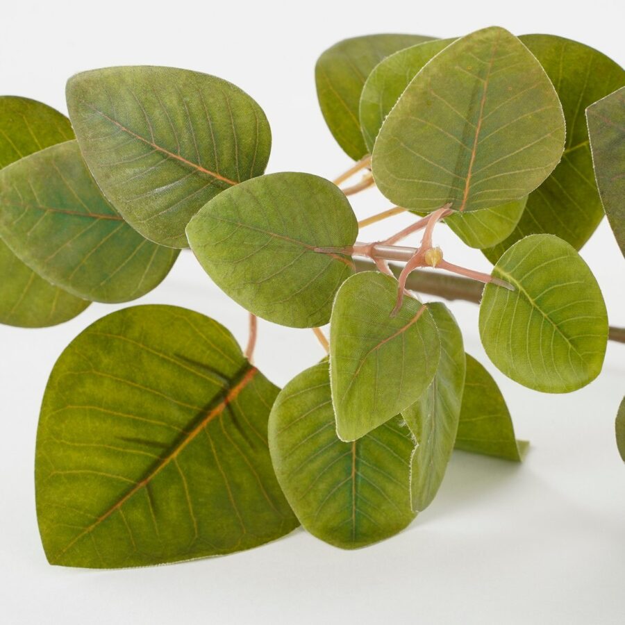 Eucalyptus Kunstplant - L12 x B28 x H64 cm - Groen - Afbeelding 2