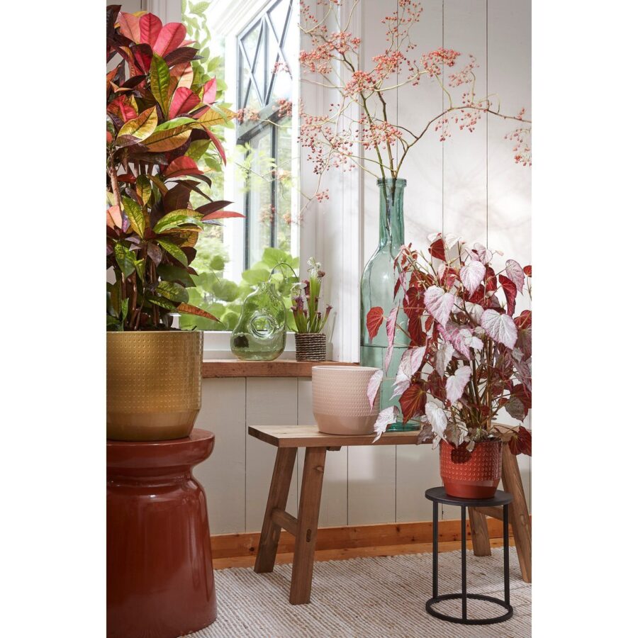 Quinty Bijzettafel - Set van 3 - H50 x Ø32 cm - Metaal - Zwart - Afbeelding 8