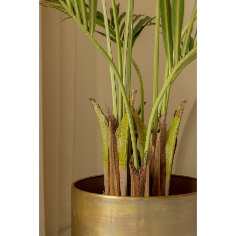 Kentia Kunstpalm 180cm - Afbeelding 5