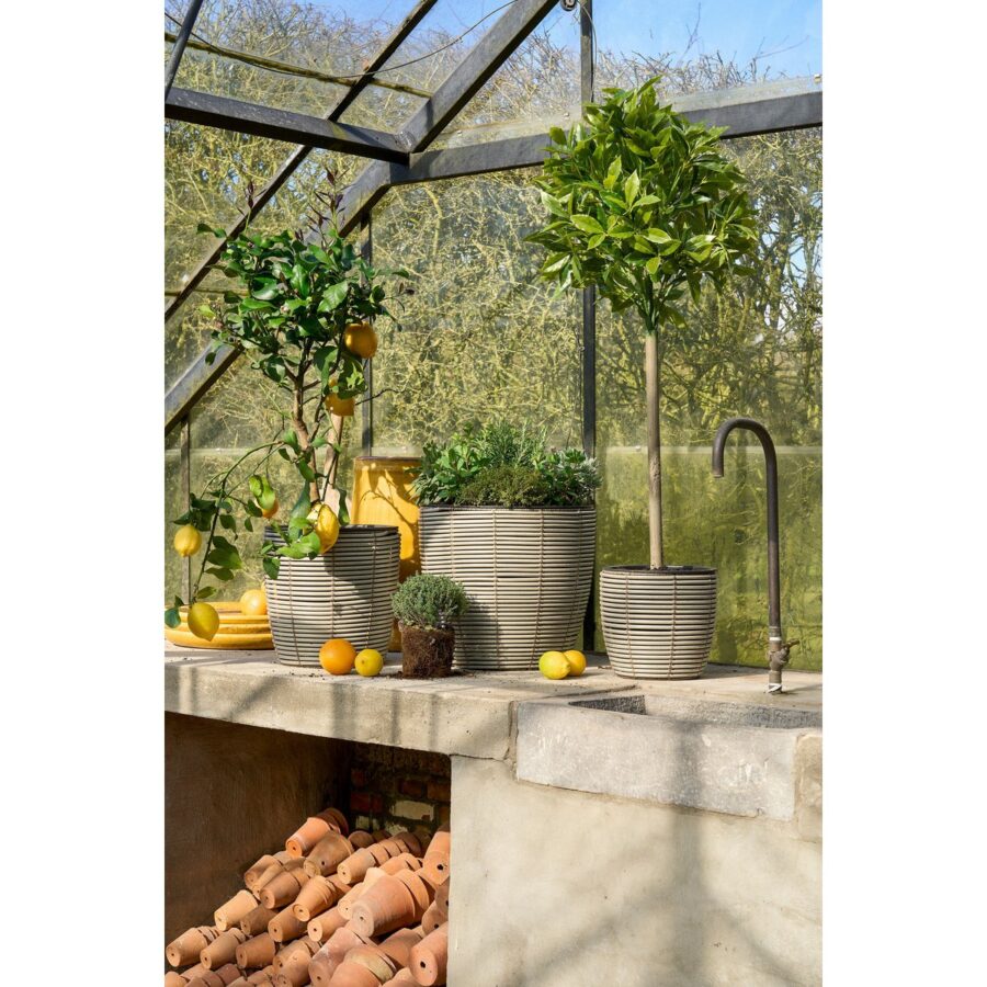 Laurierboom Kunstplant - H120 x Ø40 cm - Groen - Afbeelding 7