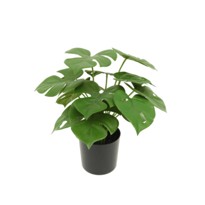 Monstera Kunstplant 30cm