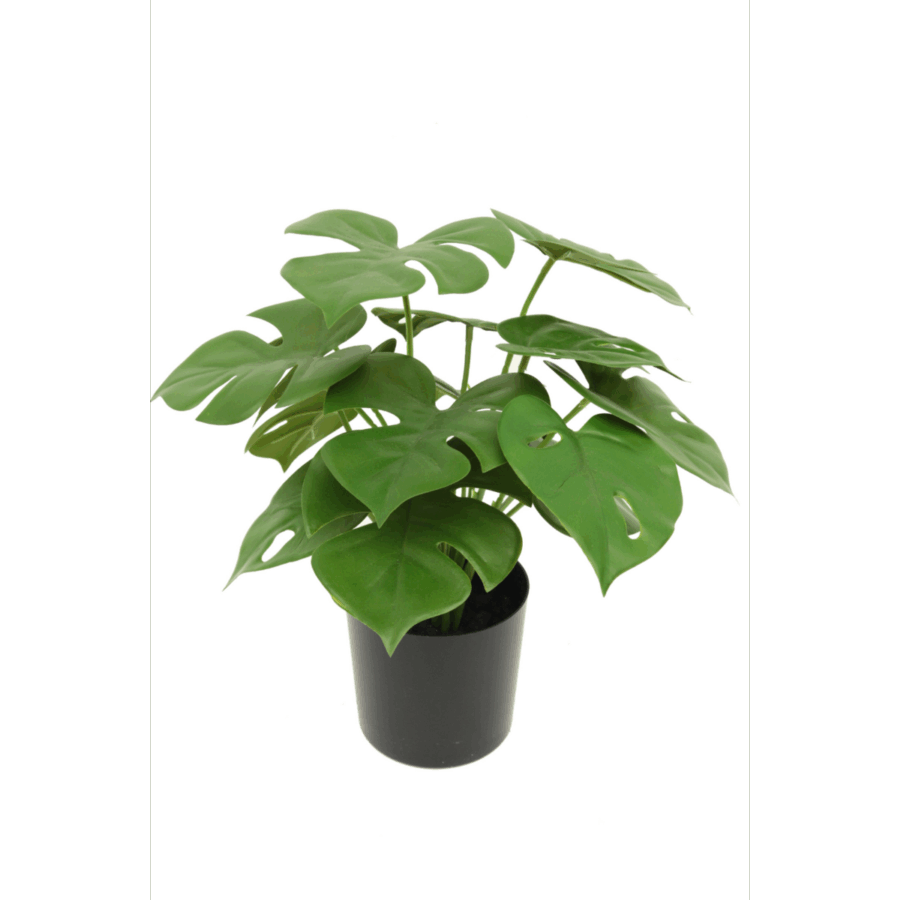 Monstera Kunstplant 30cm