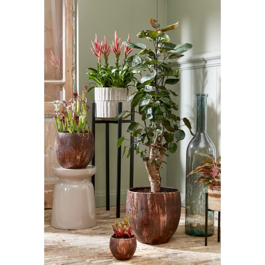 Ascot Plantenstandaard XL - L38 x B38 x H95 cm - Metaal - Zwart - Afbeelding 7