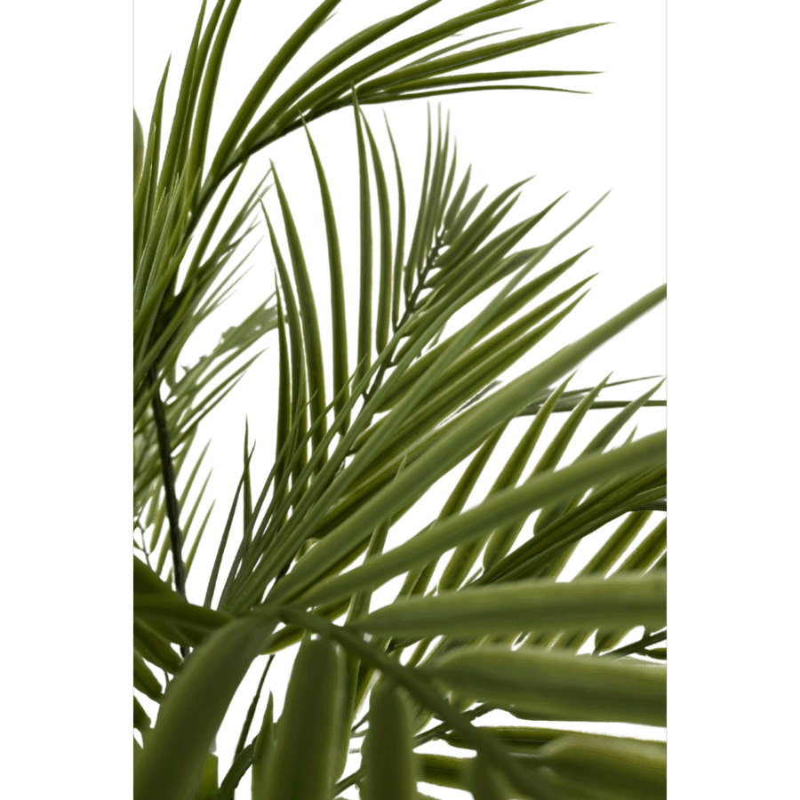 Kunstpalm 180cm - Afbeelding 6