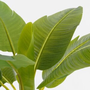 Kunstplant Bananenboom in Pot - H155 x Ø90 cm - Groen - Afbeelding 2