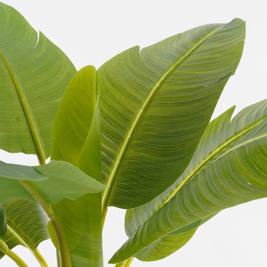 Kunstplant Bananenboom in Pot - H155 x Ø90 cm - Groen - Afbeelding 2