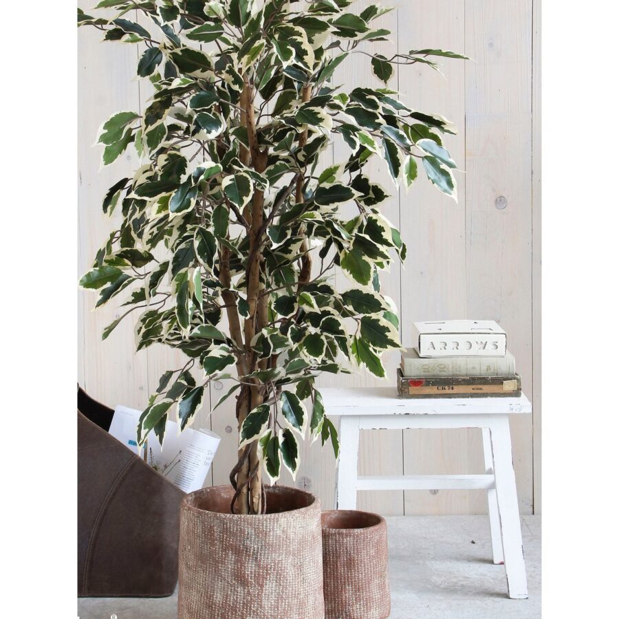 Ficus Kunstplant - H110 x Ø70 cm - Groen Bont - Afbeelding 7