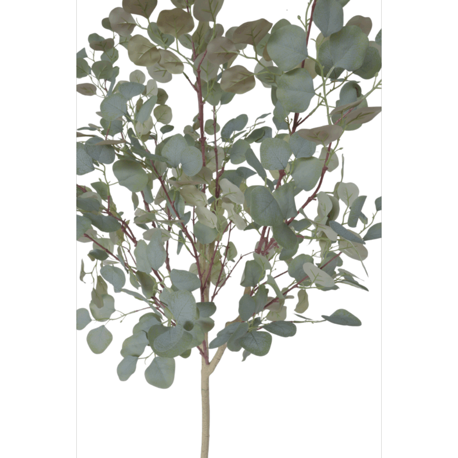 Eucalyptus Kunstboom 160cm - Afbeelding 5