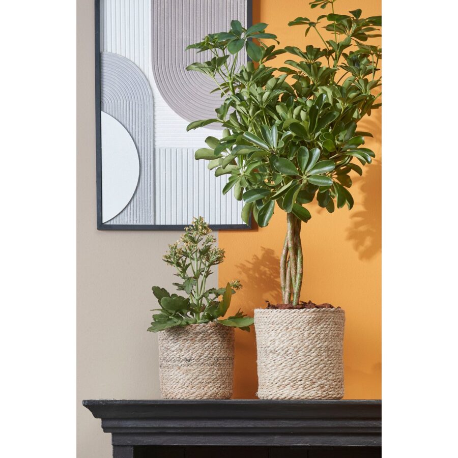 Atlantic Plantenmand - Set van 2 - H20 x Ø20 cm - Jute - Crème - Afbeelding 5