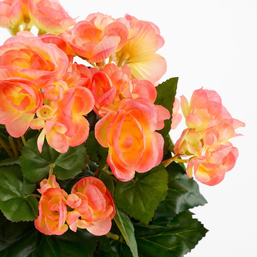 Begonia Kunstplant in Bloempot Stan - H37 x Ø36 cm - Zalmroze - Afbeelding 2