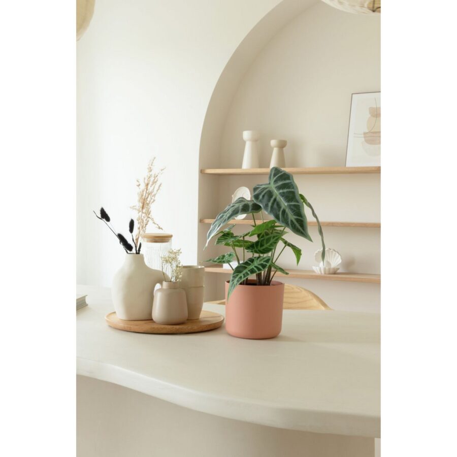 Caladium Kunstplant 38cm - Afbeelding 2
