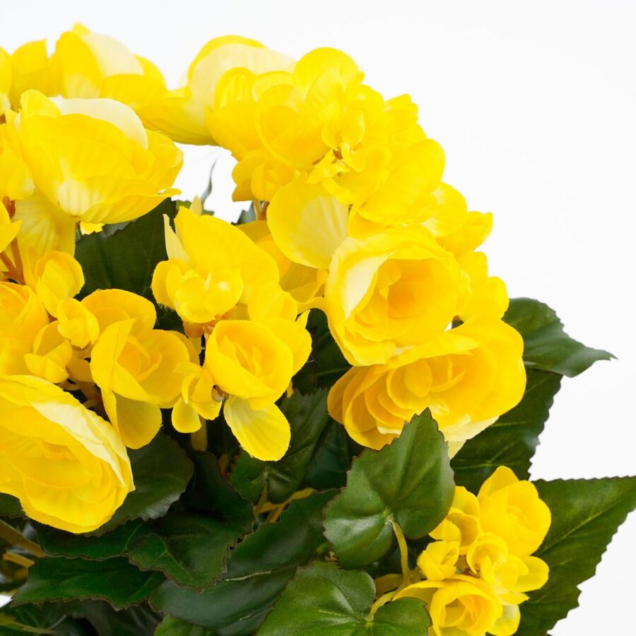 Begonia Kunstplant in Bloempot Stan - H30 x Ø25 cm - Geel - Afbeelding 2