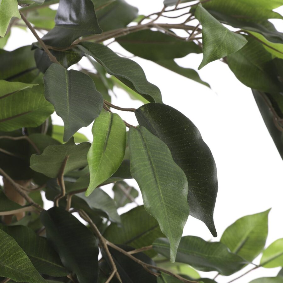 Ficus Kunstplant - H150 x Ø85 cm - Groen - Afbeelding 2