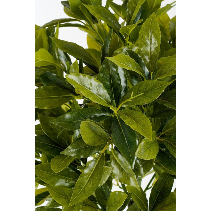Laurierboom Kunstplant - H120 x Ø40 cm - Groen - Afbeelding 2
