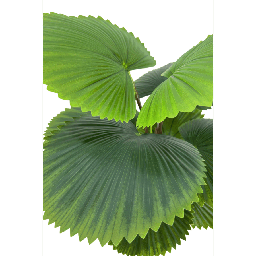 Kunst Waaierpalm 90cm - Afbeelding 3