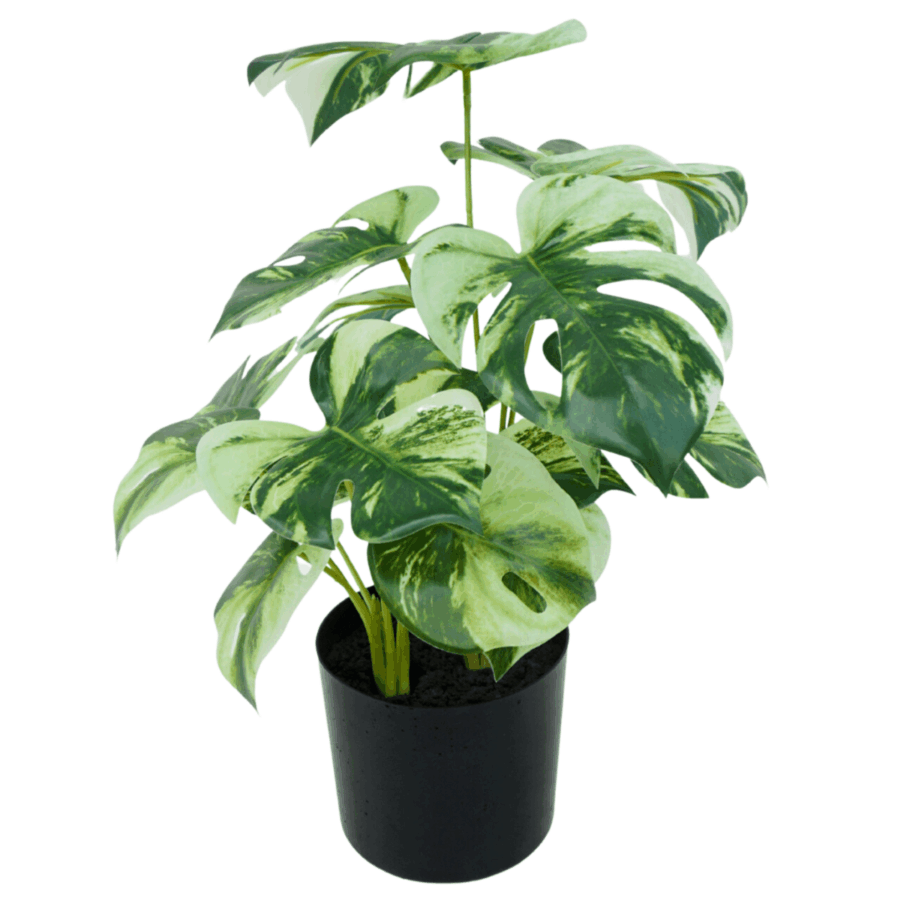 3st. Monstera Kunstplant 40cm - Afbeelding 2