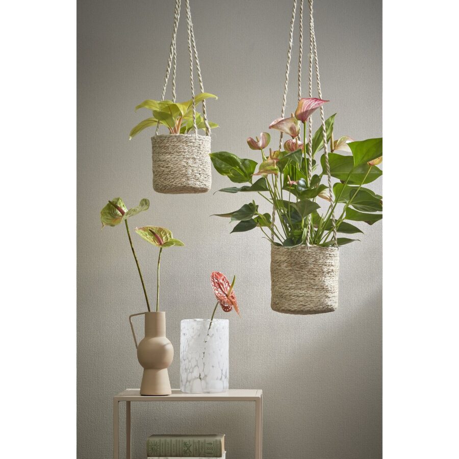 Atlantic Plantenmand - Set van 2 - H16 x Ø16 cm - Crème - Afbeelding 7