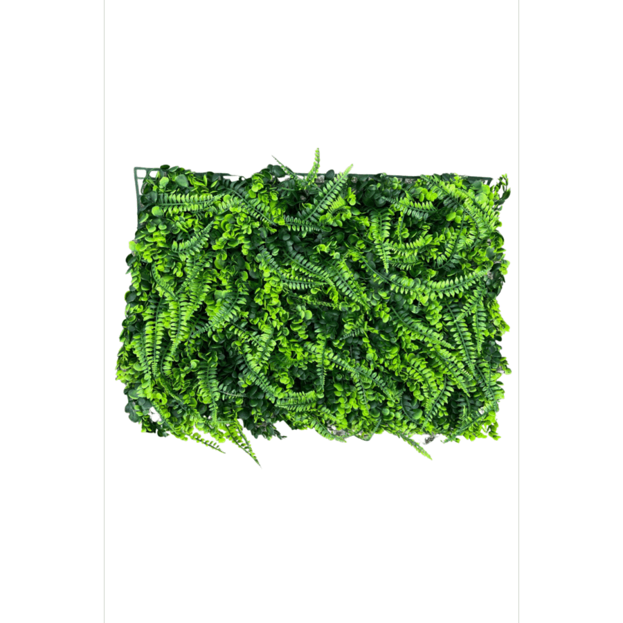 Kunsthaag Varen/Buxus 60x40cm