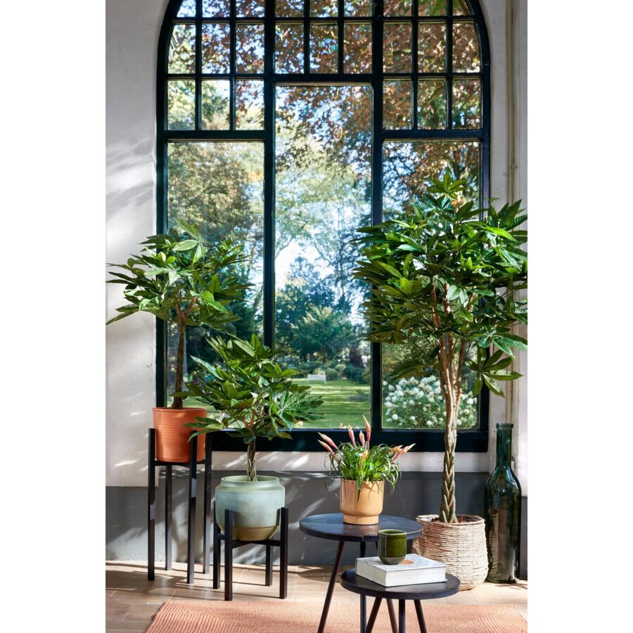Pachira Kunstplant - H150 x Ø65 cm - Groen - Afbeelding 7