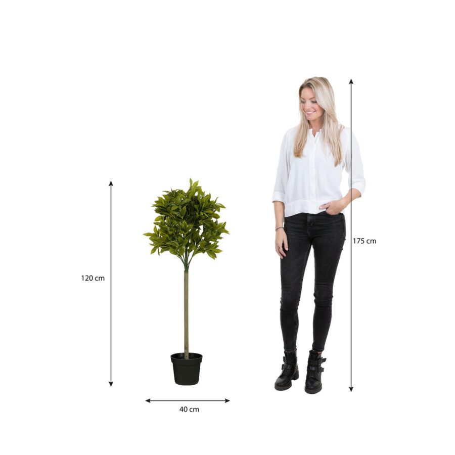 Laurierboom Kunstplant - H120 x Ø40 cm - Groen - Afbeelding 5