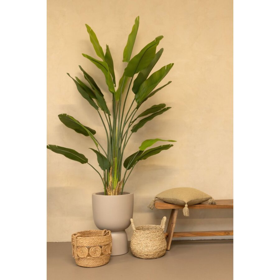 Strelitzia Kunstplant 210cm - Afbeelding 3