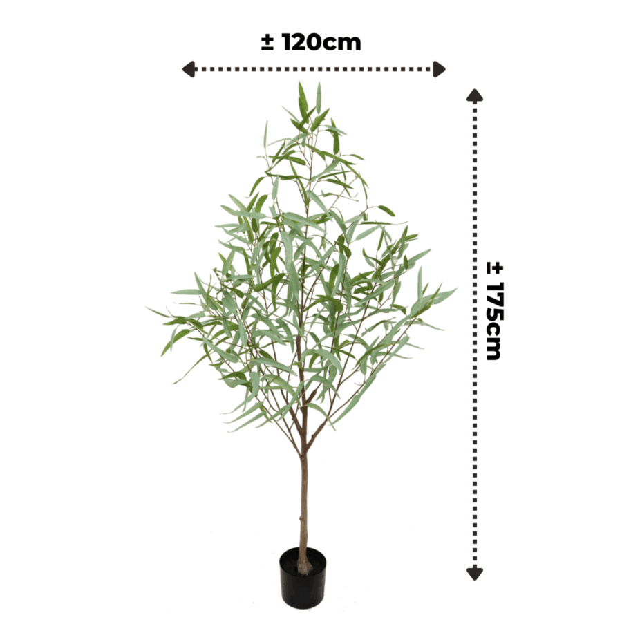 Eucalyptus Kunstplant 175cm - Afbeelding 4