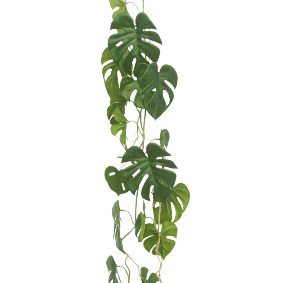 3st. Monstera Kunstslinger 120cm (Guirlande) - Afbeelding 5