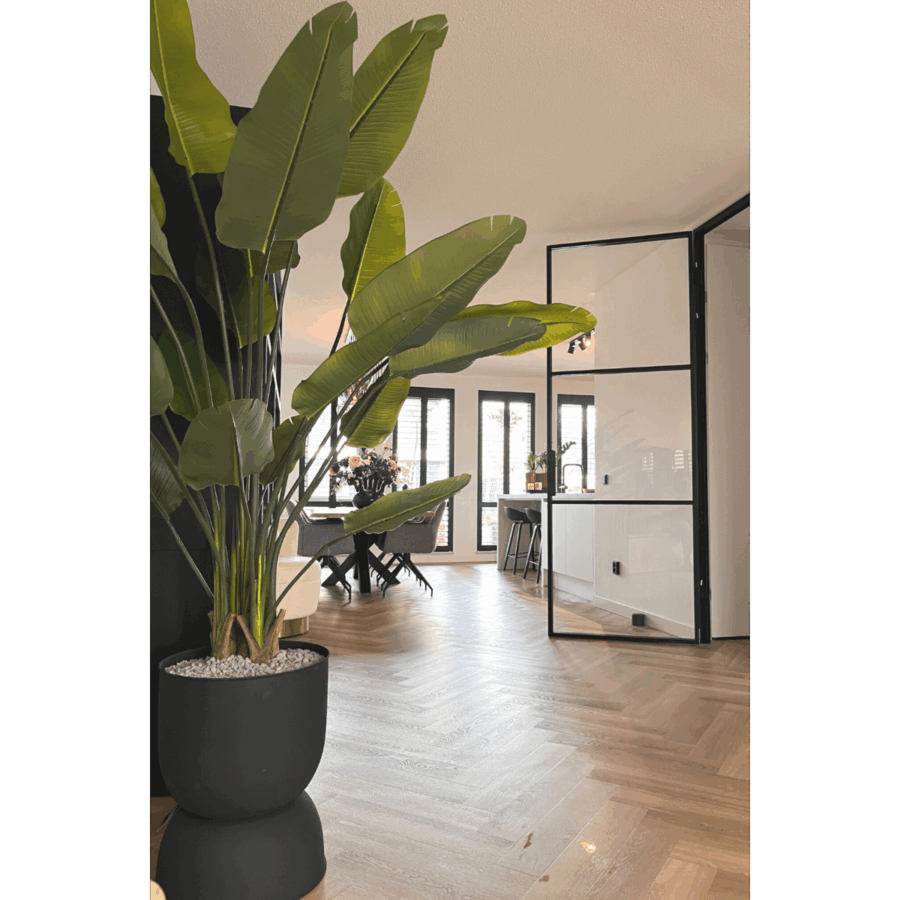 Strelitzia Kunstplant 180cm - Afbeelding 4