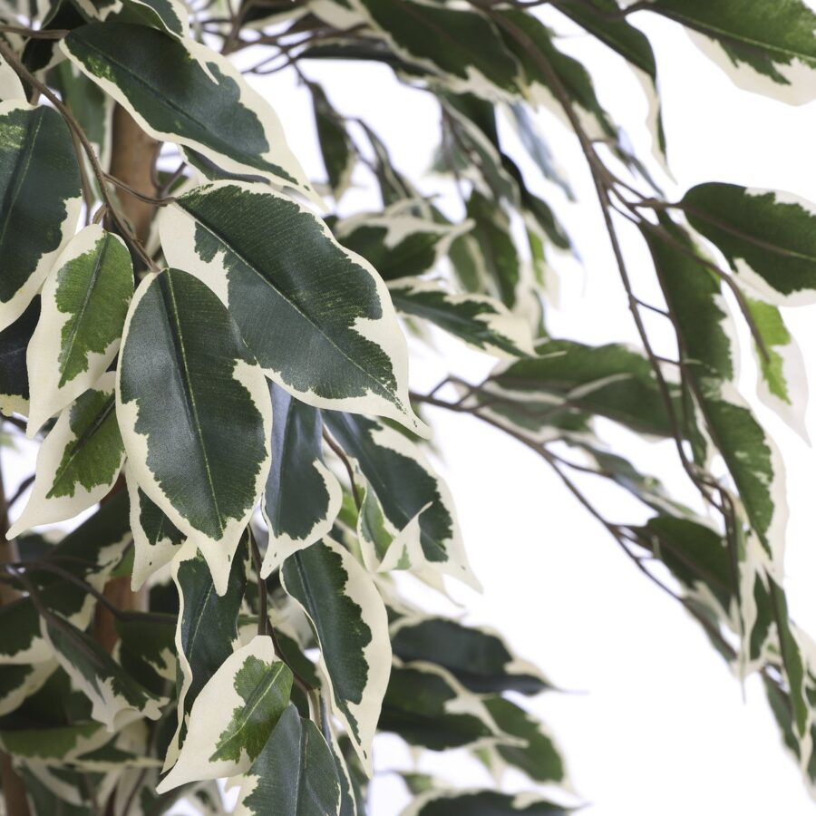 Ficus Kunstplant - H110 x Ø70 cm - Groen Bont - Afbeelding 2