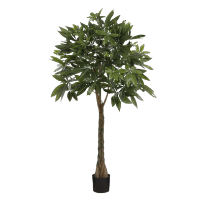 Pachira Kunstplant - H120 x Ø50 cm - Groen