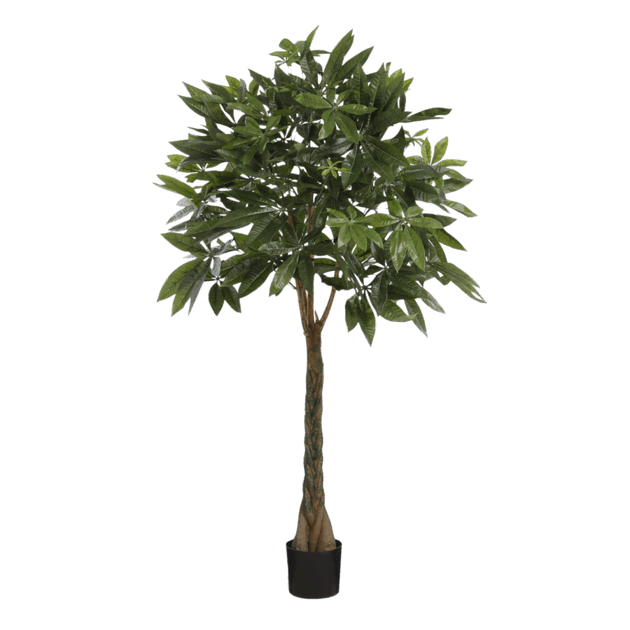Pachira Kunstplant - H120 x Ø50 cm - Groen