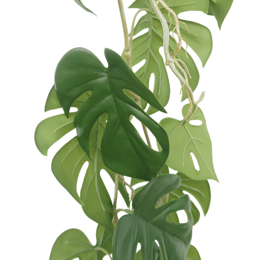 3st. Monstera Kunstslinger 120cm (Guirlande) - Afbeelding 6