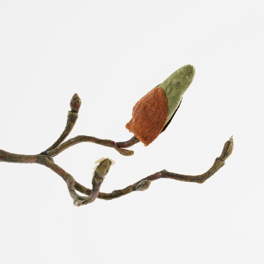 Magnolia Kunstbloem - H88 cm - Roze - Afbeelding 3