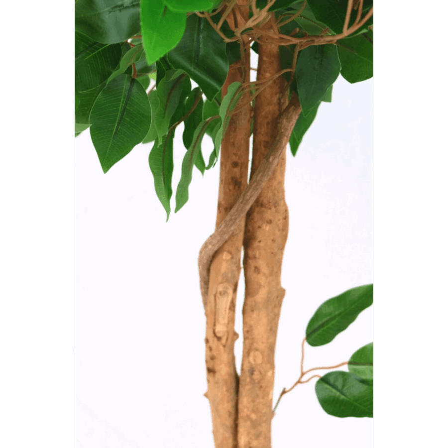 Kunst Ficus 130cm - Afbeelding 5