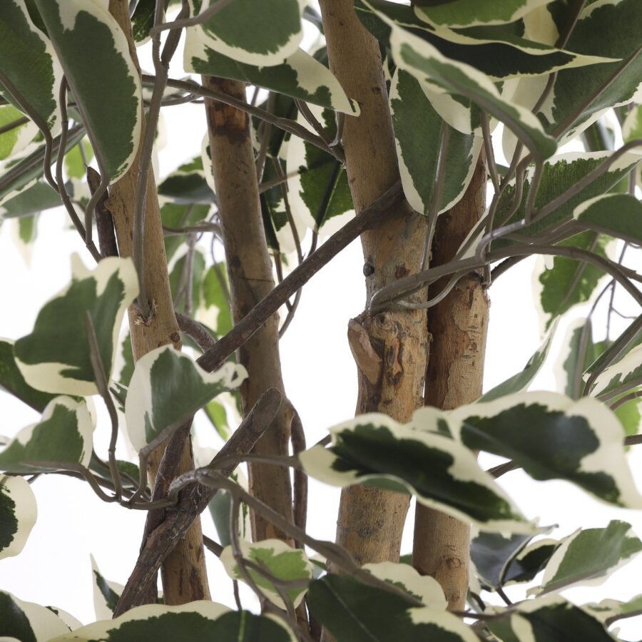 Ficus Kunstplant - H110 x Ø70 cm - Groen Bont - Afbeelding 4