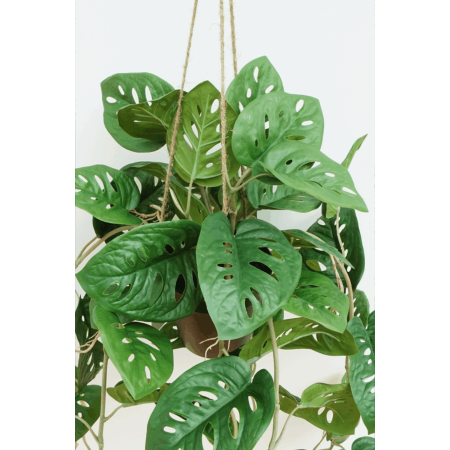 Monstera Monkey Bush Kunst Hangplant 95cm - Afbeelding 3