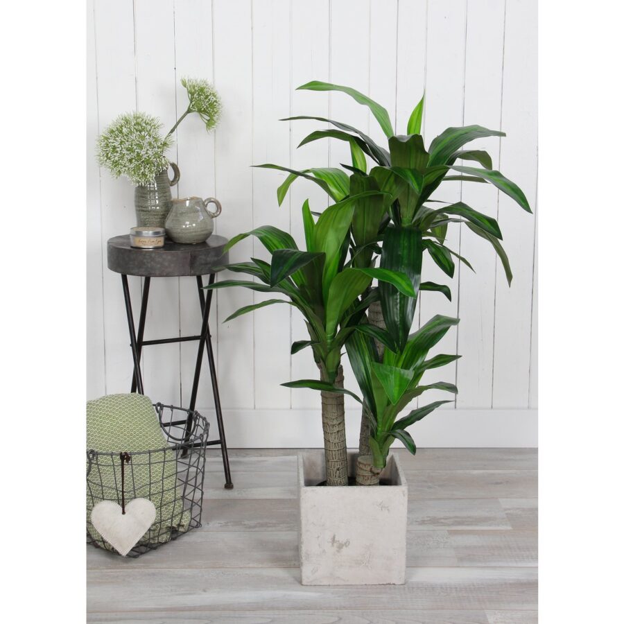 Dracaena Kunstplant - H110 x Ø60 cm - Afbeelding 5