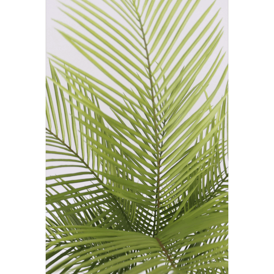 Kunstpalm 120cm - Afbeelding 4