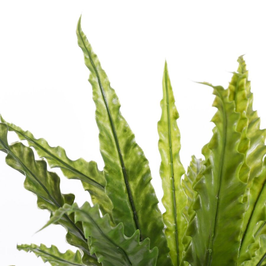 Asplenium Kunstplant in Bloempot Stan - H54 x Ø66 cm - Groen - Afbeelding 2