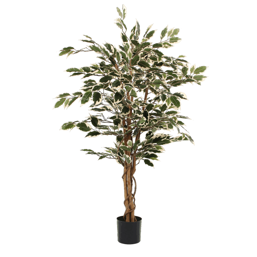 Ficus Kunstplant - H110 x Ø70 cm - Groen Bont