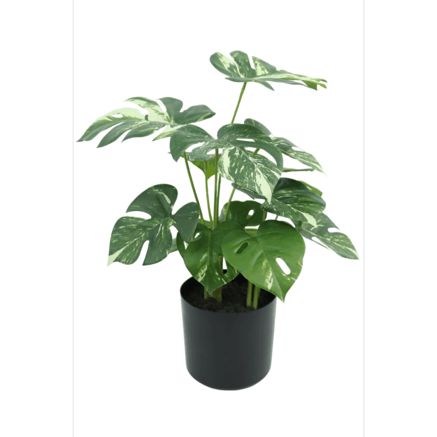 Monstera Kunstplant 40cm