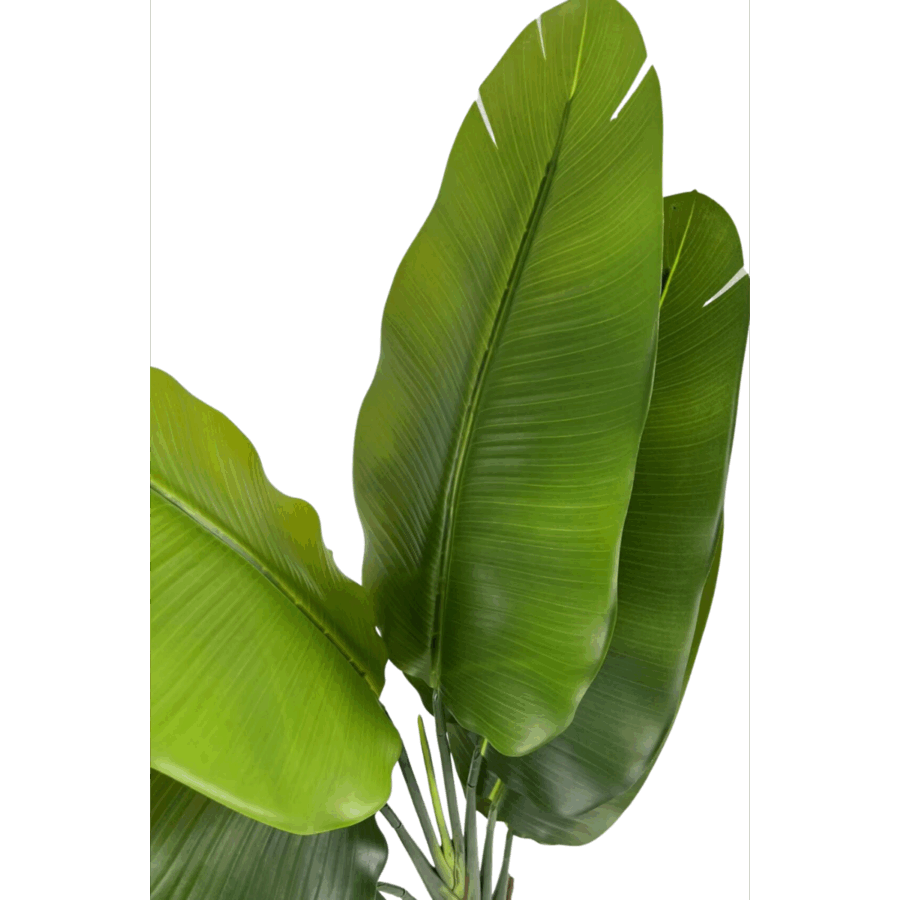 Strelitzia Kunstplant 140cm - Afbeelding 5