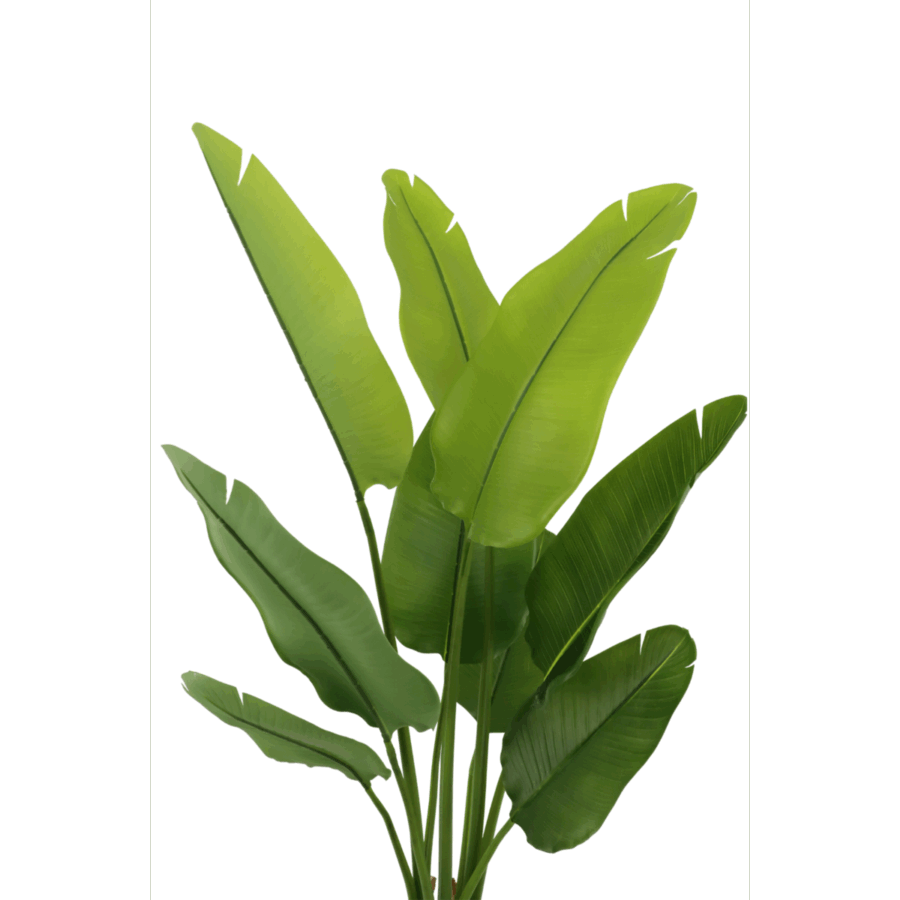 Strelitzia Kunstplant 120cm - Afbeelding 4
